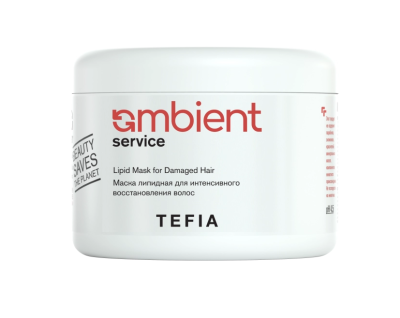 Маска липидная для интенсивного восстановления волос TEFIA SERVICE AMBIENT, 500 мл